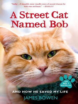 cover image of A Street Cat Named Bob